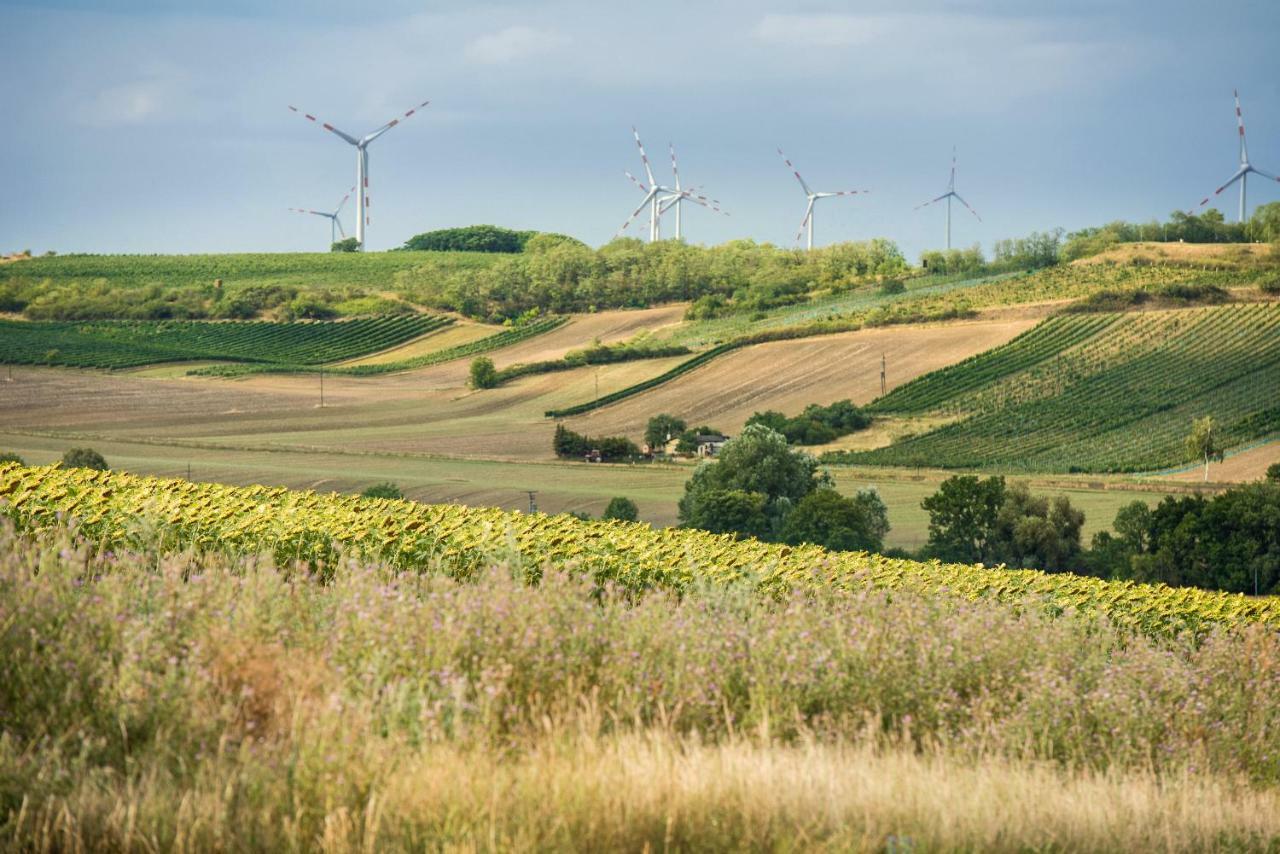 Hotel Weingut Martinshof Sankt Ulrich  Exteriér fotografie